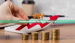 《杠杆新纪元：配资江湖的进击与突围》